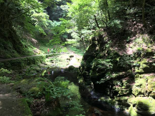 istock Japan Mie Nabari city forest waterfall Akame 1096942330
