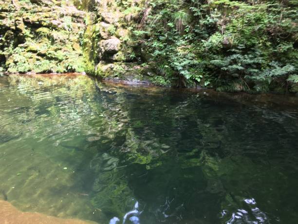 istock Japan Mie Nabari city forest waterfall Akame 1096942362