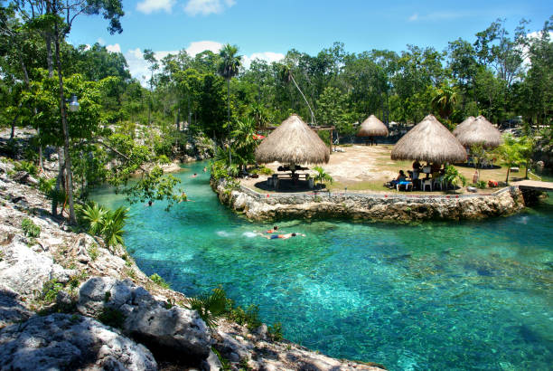 turkusowy basen z wodą cristal (cenote) w pobliżu tulum - latin america travel destinations yucatan mexico zdjęcia i obrazy z banku zdjęć