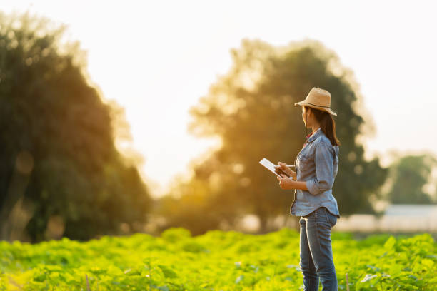 istock Farmer are planning to farm on tablets. 1096948890