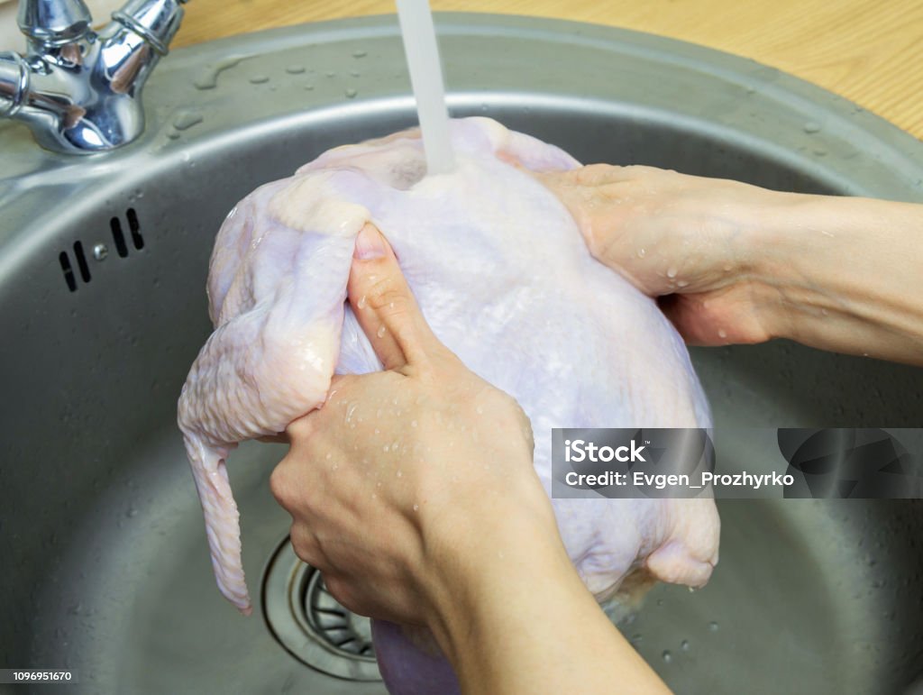 Woman washing fresh raw hen in kitchen sink. Cooking chicken at home. Close-up, selective focus. Chicken Meat Stock Photo