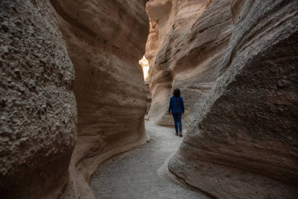 istock New Mexico Landscape 1096952250