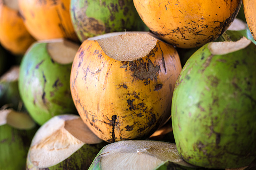 Green and yellow coconuts