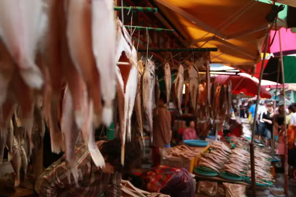 Jagalchi Market is fish market in Busan, South Korea.