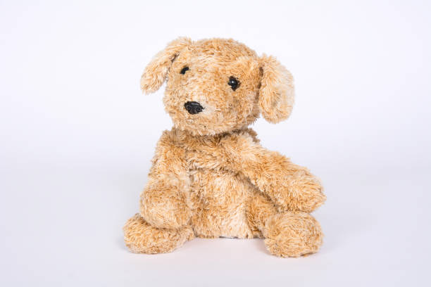 istock Soft toy dog on a light background 1096963494