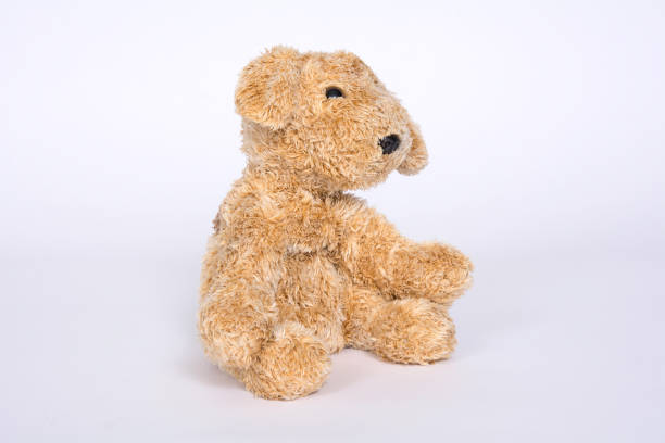 istock Dog toy isolated on white background 1096963498