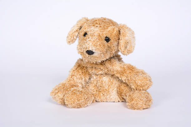 istock Soft toy dog is isolated on white background 1096963500