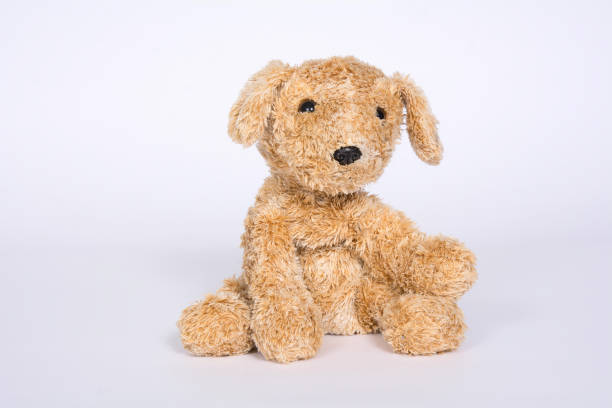 istock Soft toy dog on a light background 1096963504