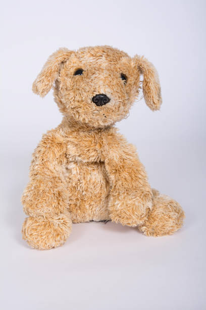 istock Soft toy dog is isolated on white background 1096963508