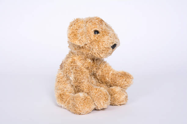 istock Soft toy doggie isolated on light background 1096963518
