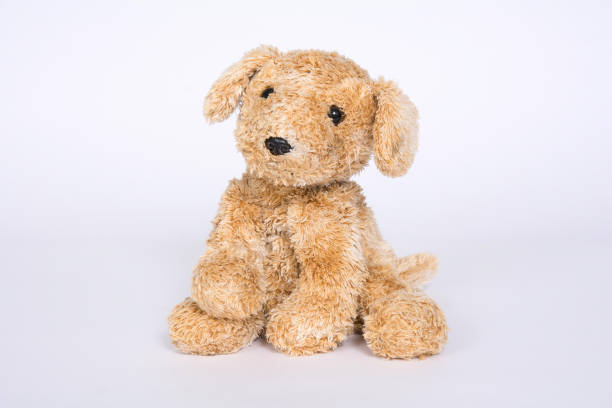 istock Soft toy dog is isolated on white background 1096963522