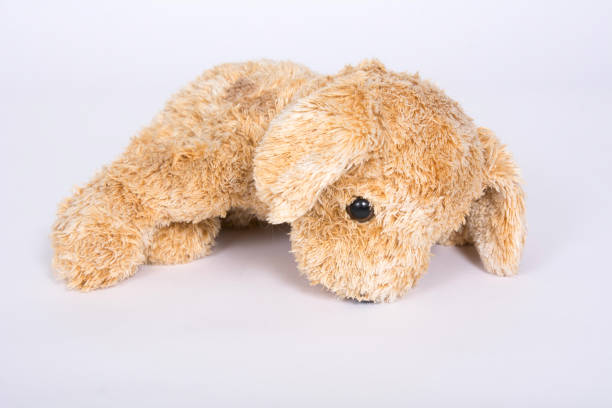 istock Soft toy dog on a light background 1096963524