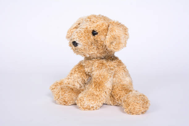istock Soft toy doggie isolated on light background 1096963534