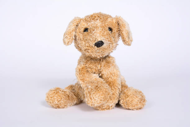 istock Dog toy isolated on white background 1096963536