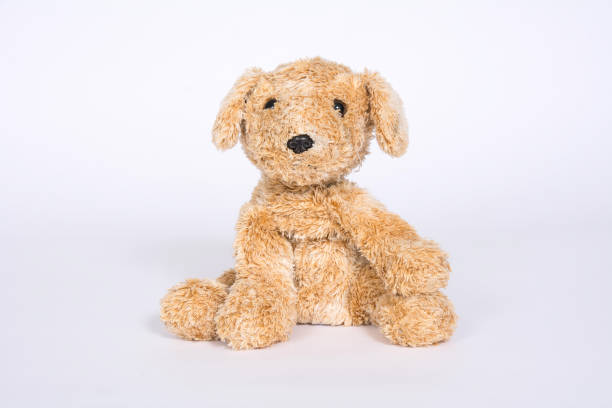 istock Old soft toy dog isolated on white background 1096963542