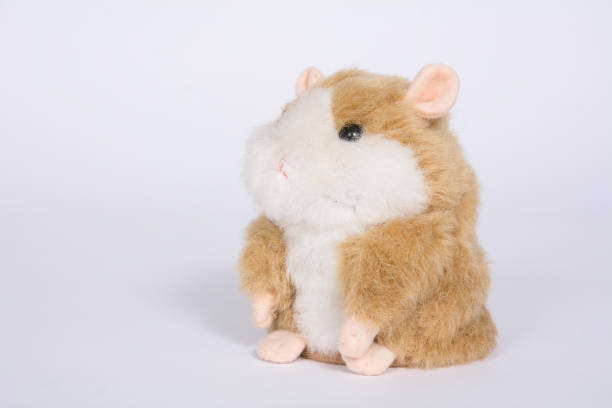 istock Hamster soft toy on a white background 1096963546