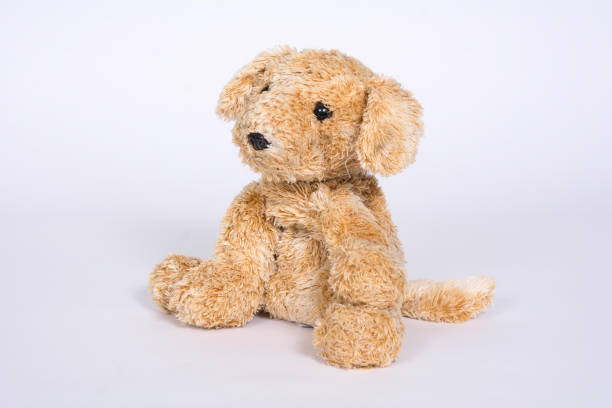 istock Old soft toy dog isolated on white background 1096963554