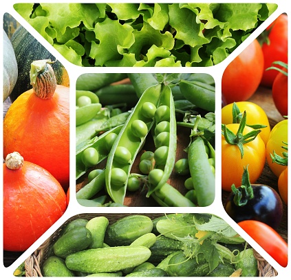 Collage of vegetables - products of vegetable garden. Healthy eating consept. Gardening background .