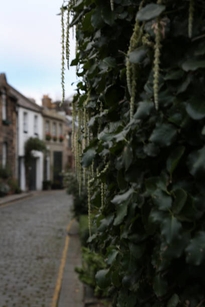 istock Circus Lane, Stockbridge, Edinburgh, Scotland 1096989054