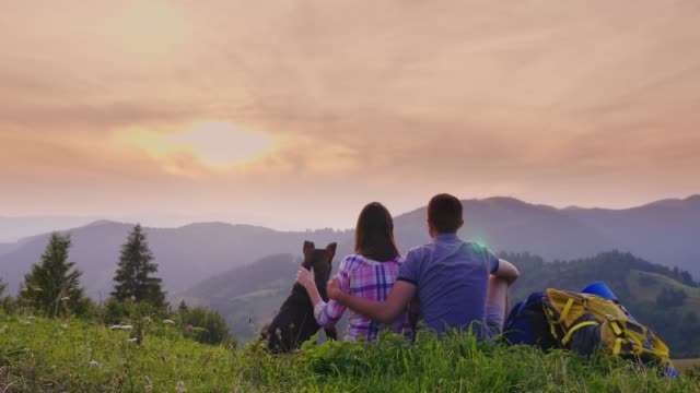 A couple of tourists with a dog admire the beautiful scenery in the mountains. They sit on the ground, next to them are their backpacks, a rear view