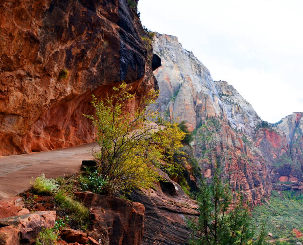 istock Narrow Path with Switchbacks at Angels Landing Trail, Zion NP, Utah, USA 1096990062