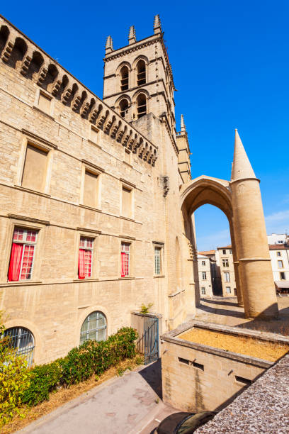 istock Montpellier Saint Pierre Cathedral, France 1096991896