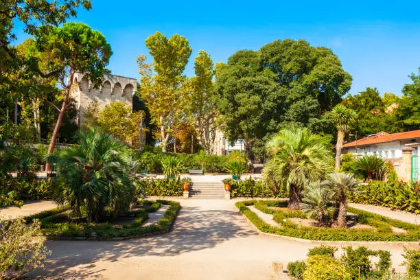 The jardin des plantes de Montpellier is a public botanical garden in Montpellier city, France