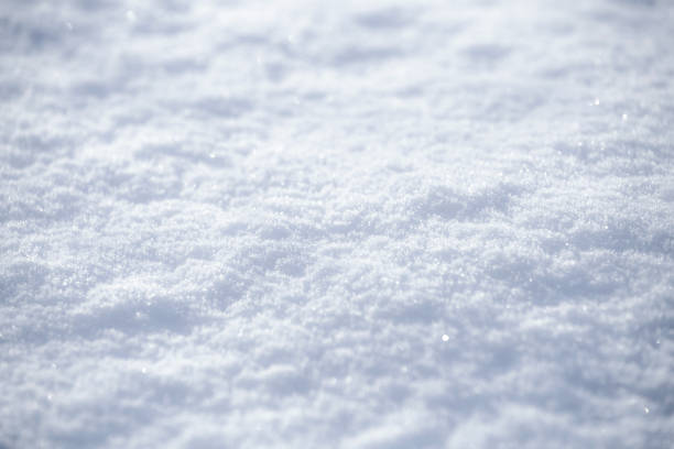 istock Background of sparkling fresh snow texture 1096993536