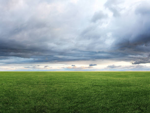 istock Panoramic image of green grass field and cloudy sky with copyspace 1096995490