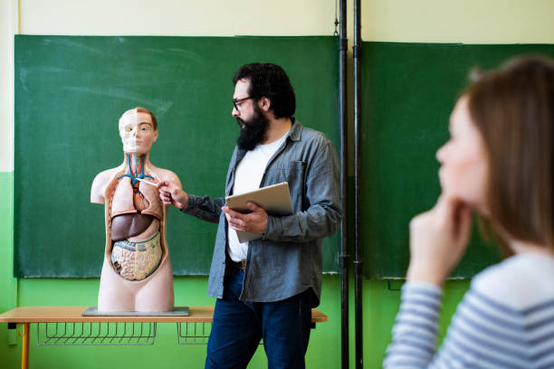 Young male hispanic teacher in biology class, holding digital tablet and teaching human body anatomy, using artificial body model to explain internal organs. Young male hispanic teacher in biology class, holding digital tablet and teaching human body anatomy, using artificial body model to explain internal organs. biology class stock pictures, royalty-free photos & images