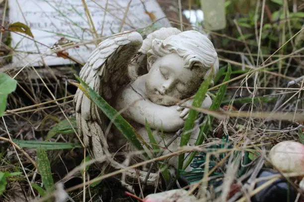 Angel statue nestled in the grass, asleep.