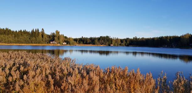 istock landscapes of Finland 1097015228