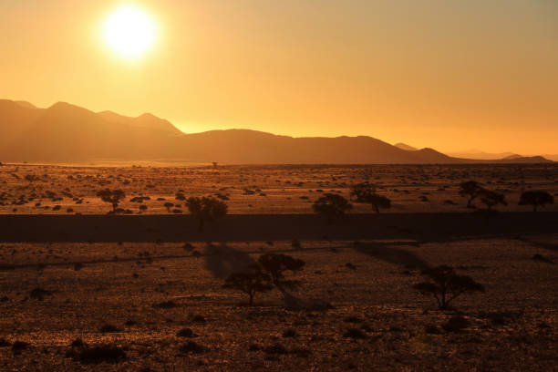 istock Steppe with trees in mountains at sunset - Namibia Africa 1097015938