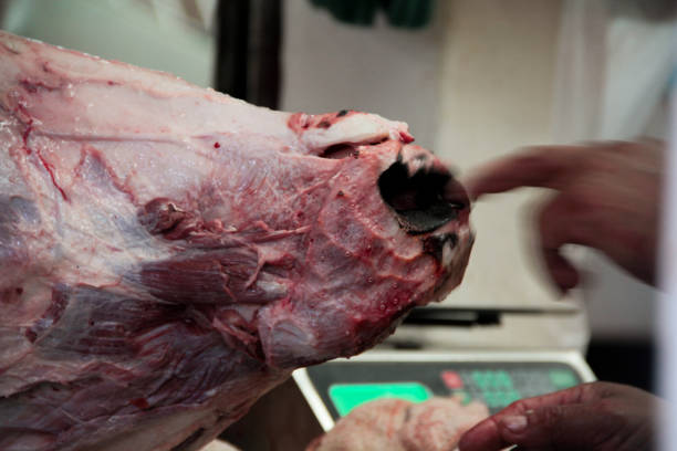 Head of beef in butcher shop Butcher slicing the head of beef carne roja stock pictures, royalty-free photos & images