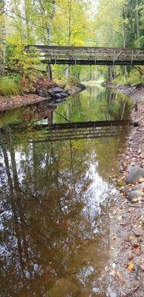 istock bridge in the forest on the river 1097041896
