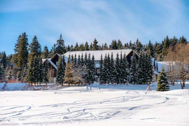 istock Winter landscape in Thuringia Oberhof 1097043392
