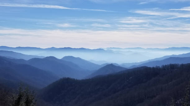 retour à cold mountain paysage (3) - great smoky mountains great smoky mountains national park forest appalachian mountains photos et images de collection