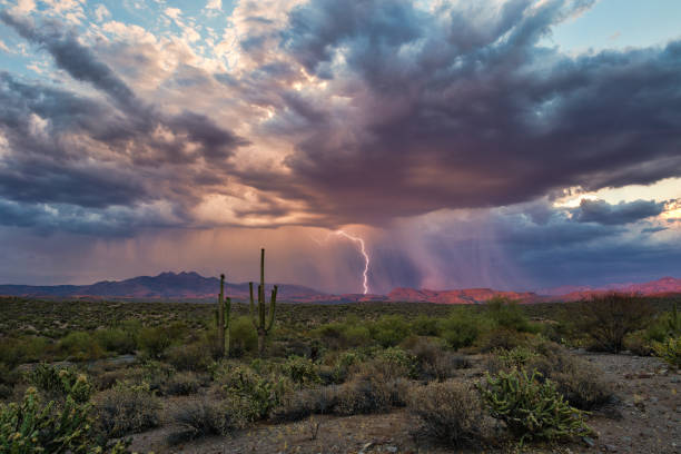 Dramatic sky with storm clouds with lightning Dramatic sky with dark storm clouds and lightning in the Arizona desert. monsoon stock pictures, royalty-free photos & images