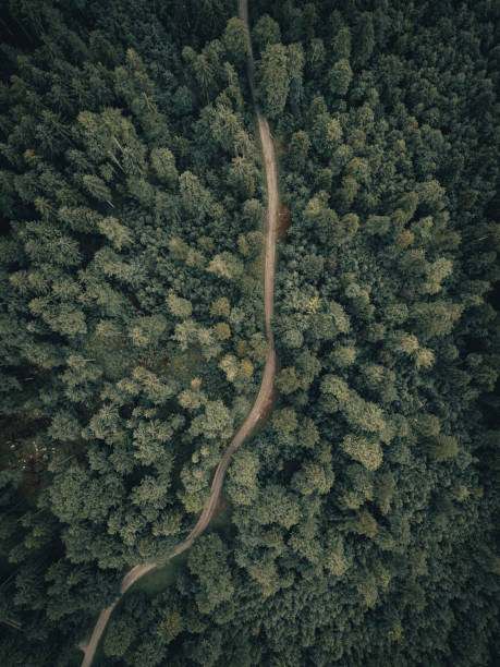 istock Exploring the beauty of earth 1097061646