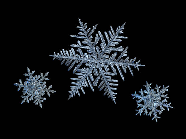 istock Three snowflakes isolated on black background 1097068898