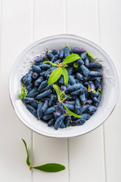 Delicious and healthy honeyberry (lonicera) in the bowl
