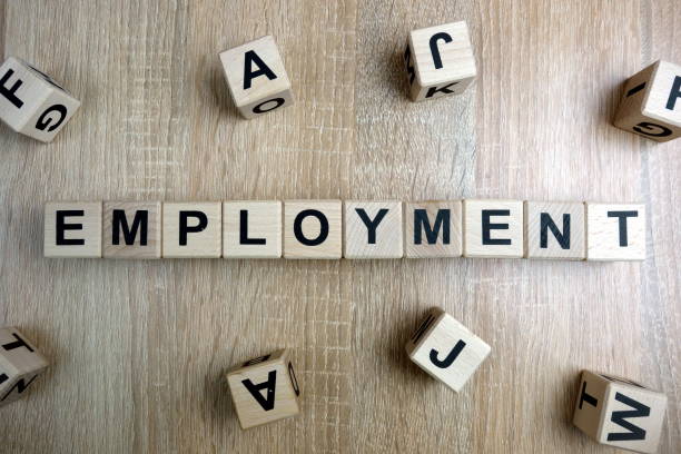 istock Employment word from wooden blocks 1097080904