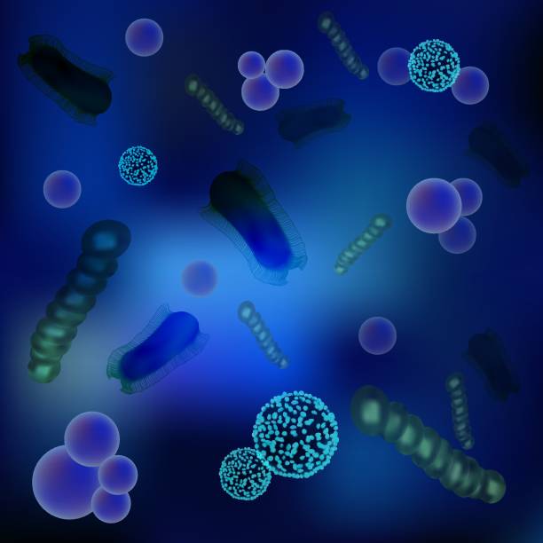 istock Set of viruses and bacteria under the microscope. Uninitiated cellular infectious agent. The concept of infection and cell disease, pathogen. BACTERIA, simple single-cell microscopic organisms 1097080994