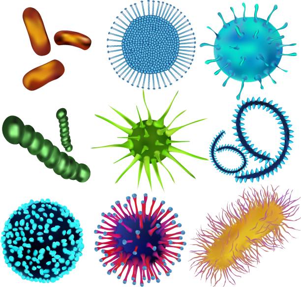 ilustraciones, imágenes clip art, dibujos animados e iconos de stock de conjunto de virus y bacterias aisladas sobre un fondo de blom. los virus y las bacterias bajo el microscopio. un agente infeccioso celular no iniciado que puede multiplicarse solamente en otras células - blom