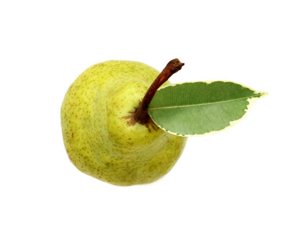 istock Pear sweet with leaf isolated on white top view. 1097083418