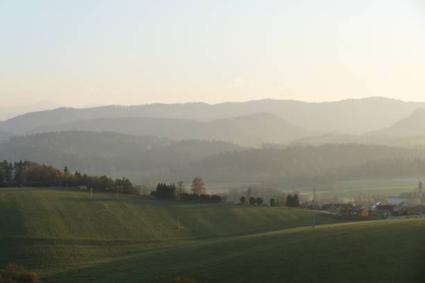 istock Misty morning on meadow with trees and views. 1097085728