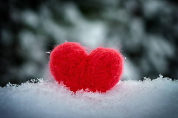 istock Red needle felted wool heart on fluffy snow with blurred pine trees covered with snow on background 1097087806
