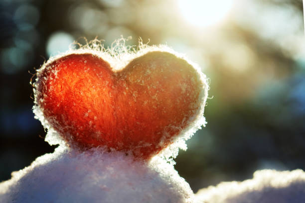 istock Red wool felted heart stands on the snow and backlighted by setting winter sun 1097087966