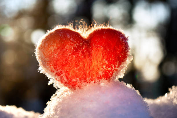 istock Red wool felted heart stands on the snow and backlighted by setting winter sun 1097087976