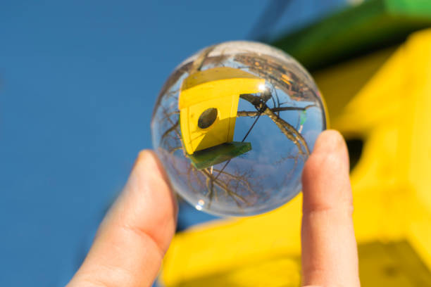 istock Birdhouse in Crystal ball 1097098096
